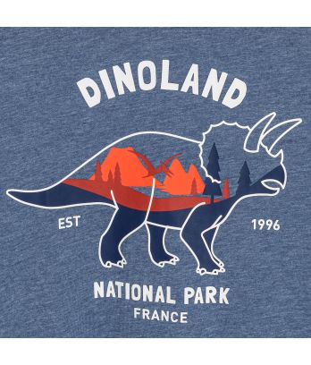 Boy's blue dinosaur motif T-shirt with long sleeves