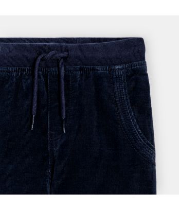 Boy's blue velours jogpant