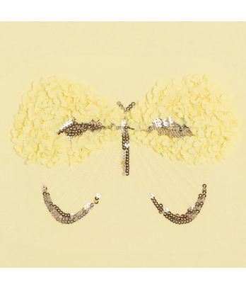 Girl's yellow long-sleeve T-shirt with butterfly motif