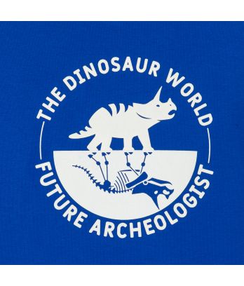 Boy's blue dinosaur motif sweatshirt