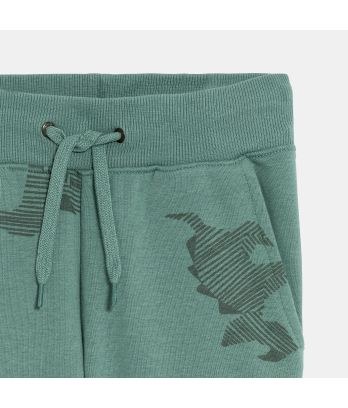 Boy's green dinosaur print joggers