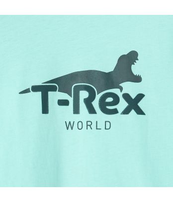 Boy's blue dinosaur motif T-shirt