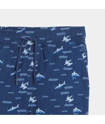 Boy's blue printed shorts in jersey