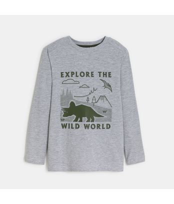 Boy's grey dinosaur motif T-shirt