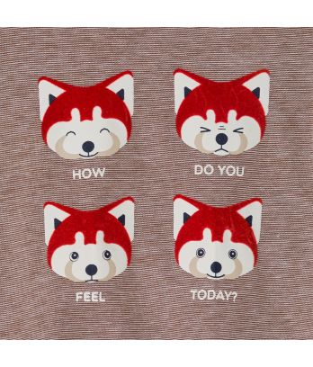 Baby boy's brown fox emotions T-shirt