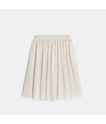Girl's shiny glitter pleated skirt