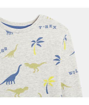 Boy's grey 2-piece printed jersey pyjamas