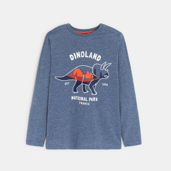 Boy's blue dinosaur motif T-shirt with long sleeves