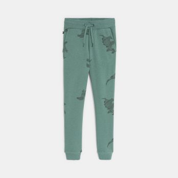 Boy's green dinosaur print joggers
