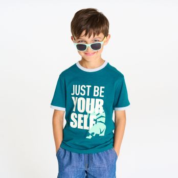 Boy's blue short-sleeve tiger T-shirt
