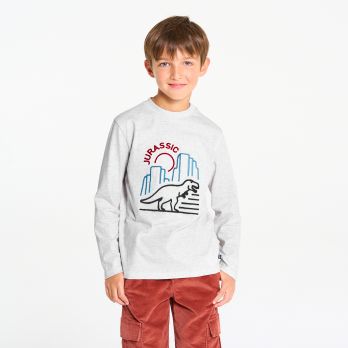 Boy's grey dinosaur motif T-shirt